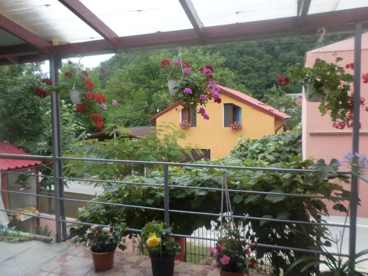 Appartement Casa Iza à Băile Herculane Extérieur photo