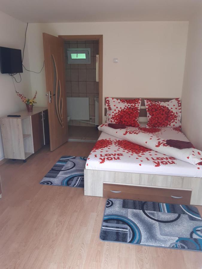 Appartement Casa Iza à Băile Herculane Extérieur photo