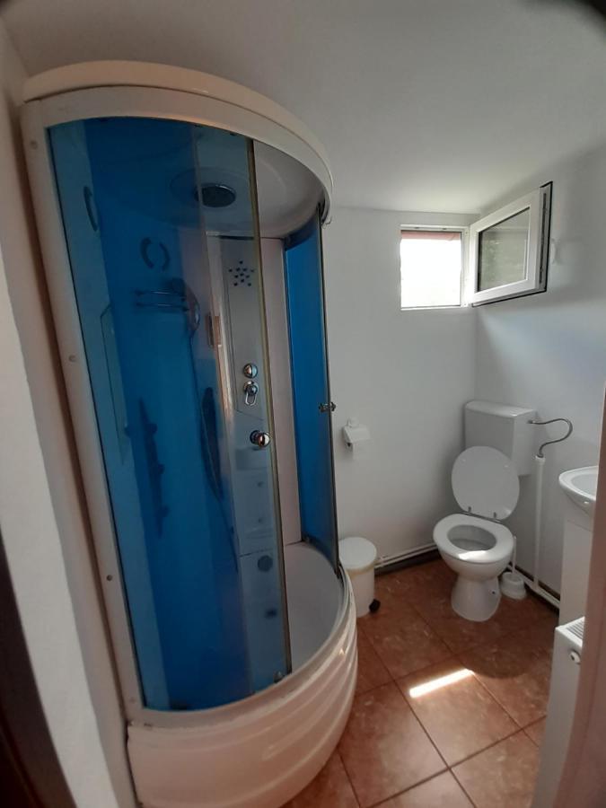 Appartement Casa Iza à Băile Herculane Extérieur photo