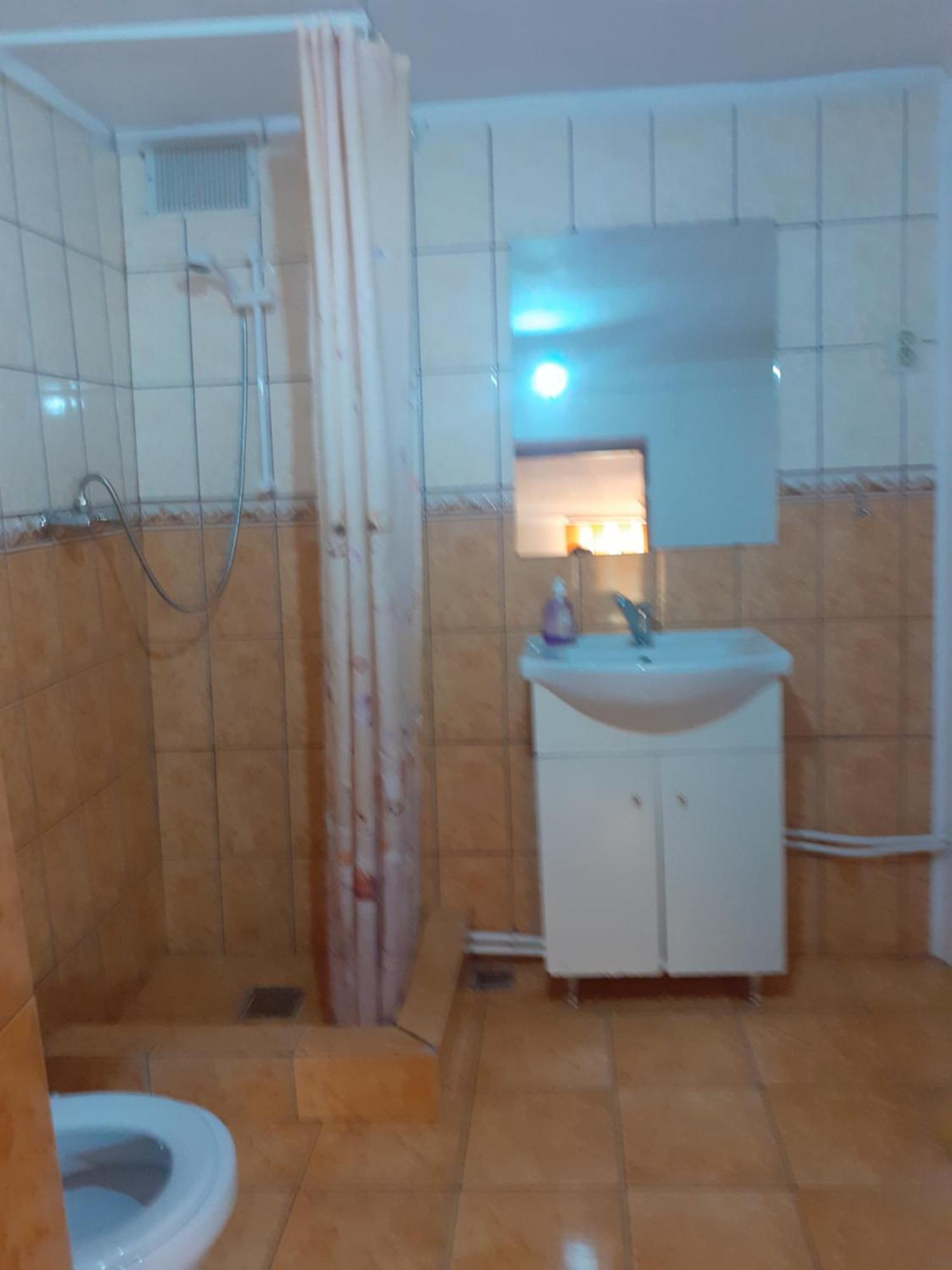 Appartement Casa Iza à Băile Herculane Extérieur photo